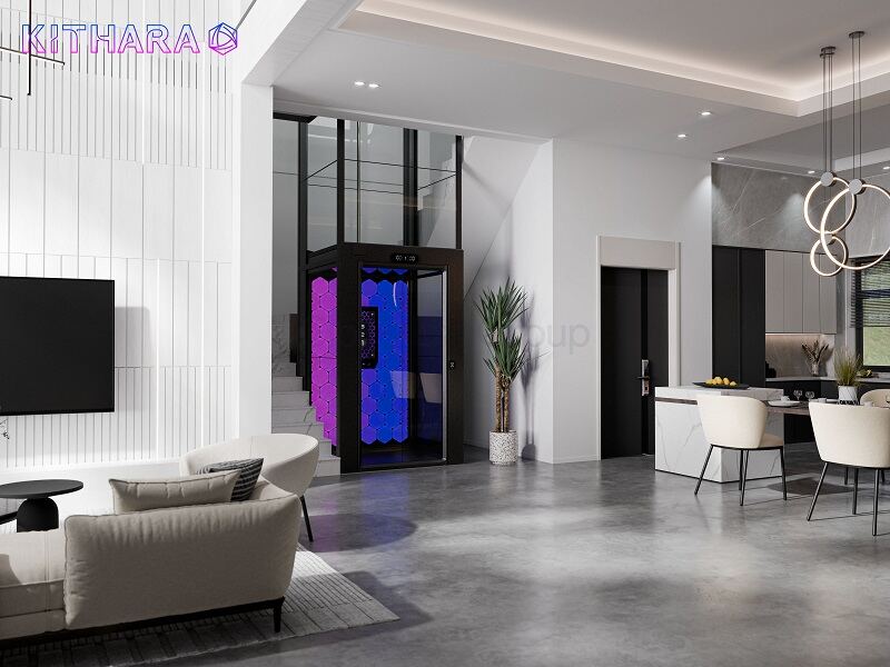 Cibes大发500家用电梯