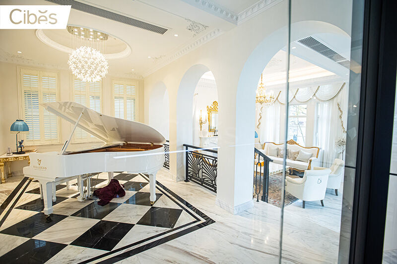 Cibes大发500成都案例