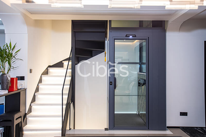 Cibes大发500电梯案例