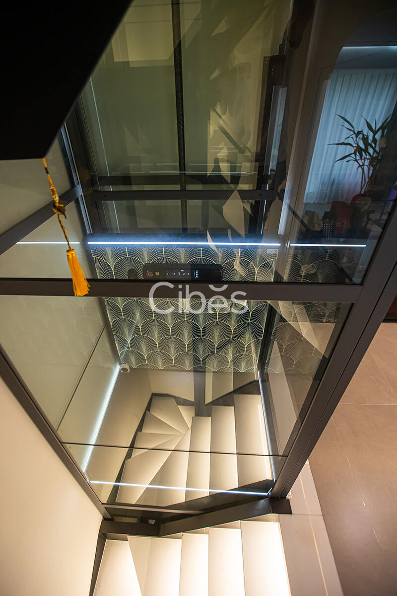 Cibes大发500电梯案例