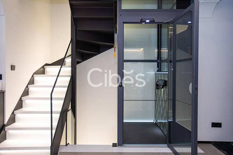 Cibes大发500电梯案例