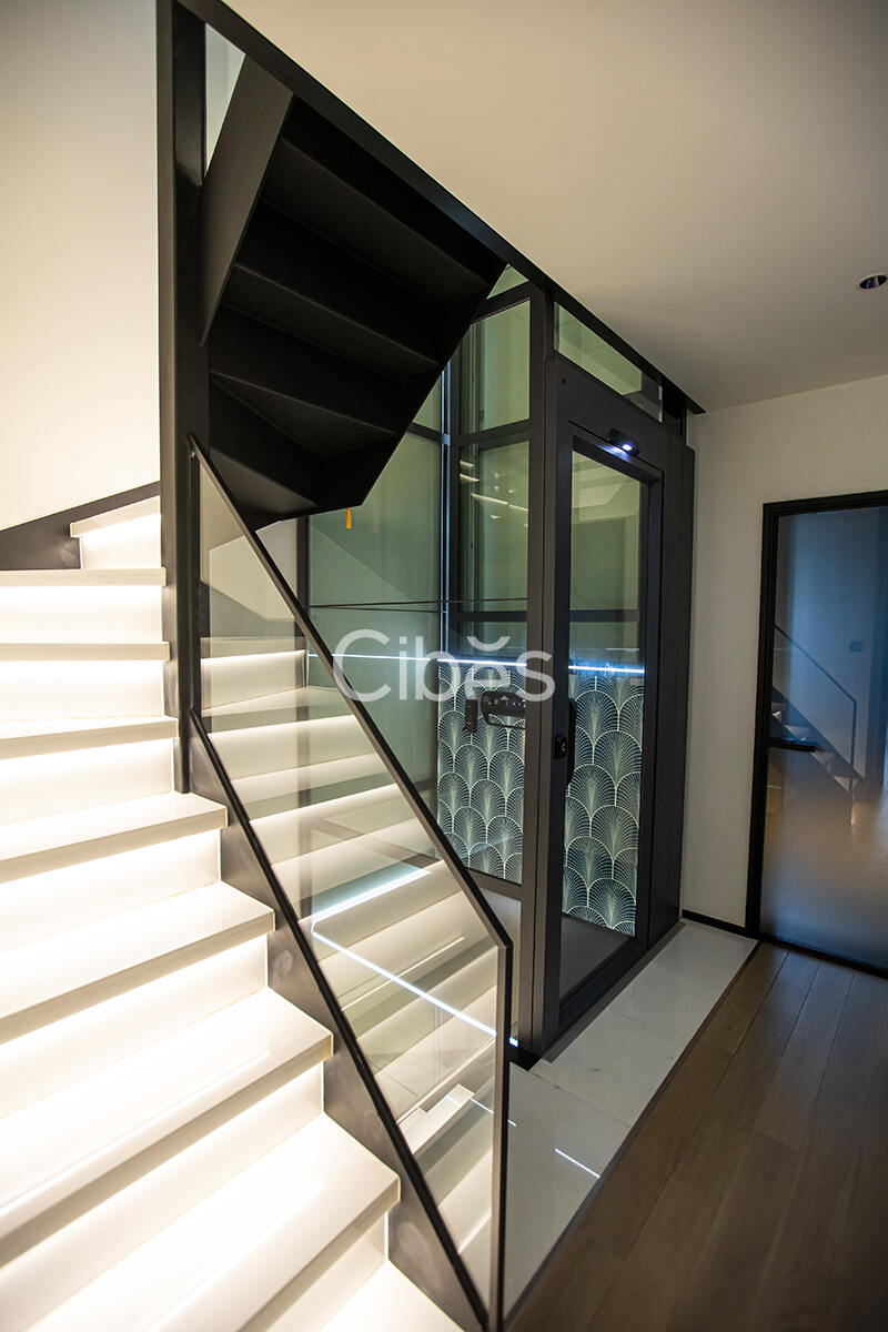 Cibes大发500电梯案例