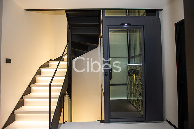 Cibes大发500电梯案例