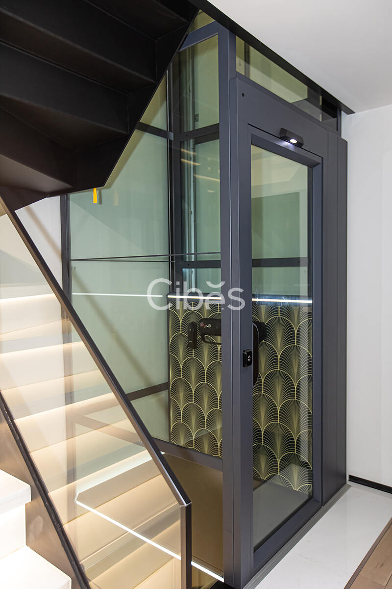 Cibes大发500电梯案例