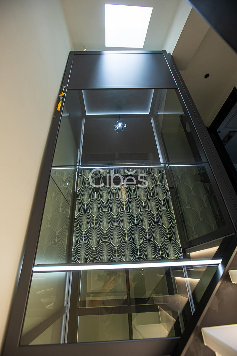 Cibes大发500电梯案例