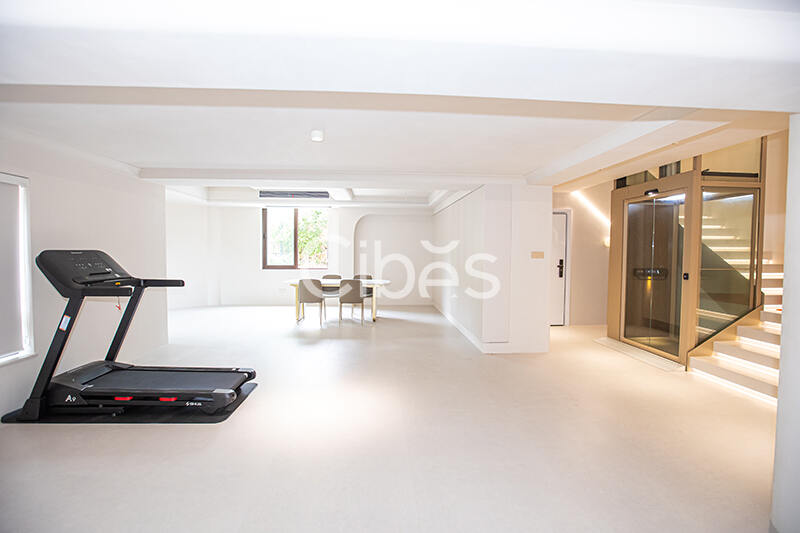 Cibes大发500电梯案例