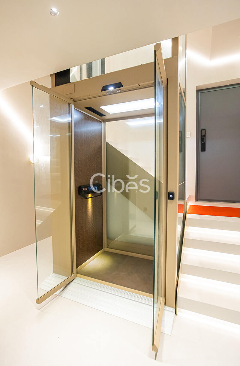 Cibes大发500电梯案例