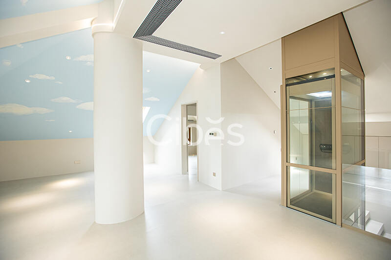 Cibes大发500电梯案例