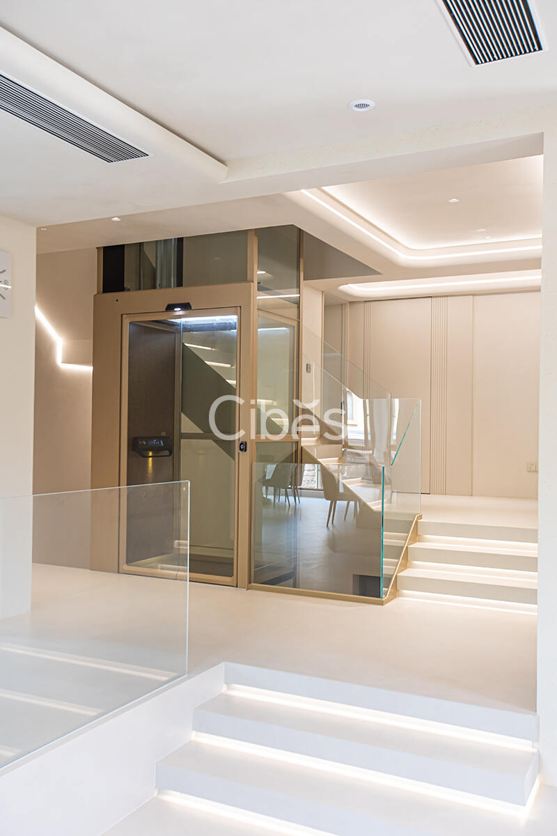 Cibes大发500电梯案例