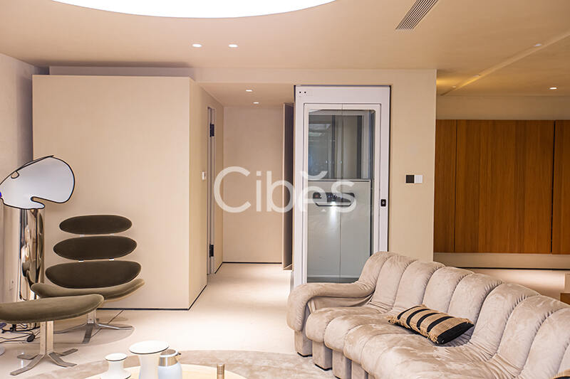 Cibes大发500别墅电梯杭州案例