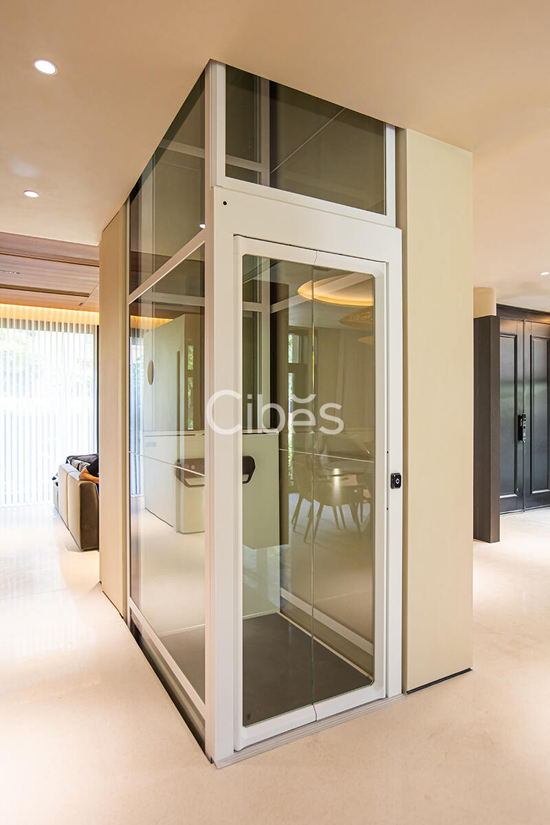 Cibes大发500别墅电梯杭州案例