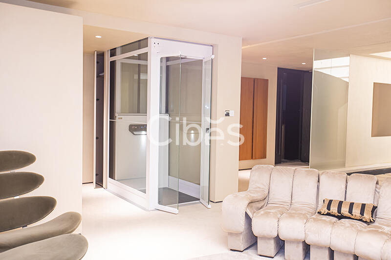 Cibes大发500别墅电梯杭州案例