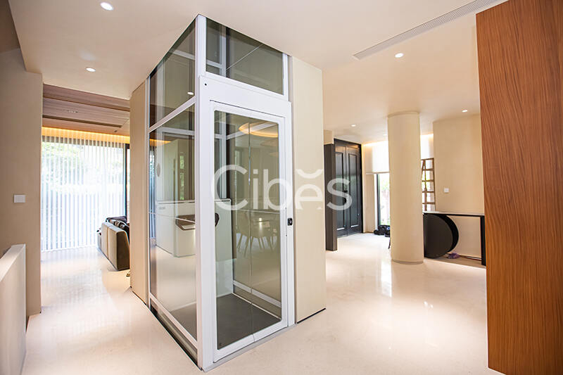 Cibes大发500别墅电梯杭州案例