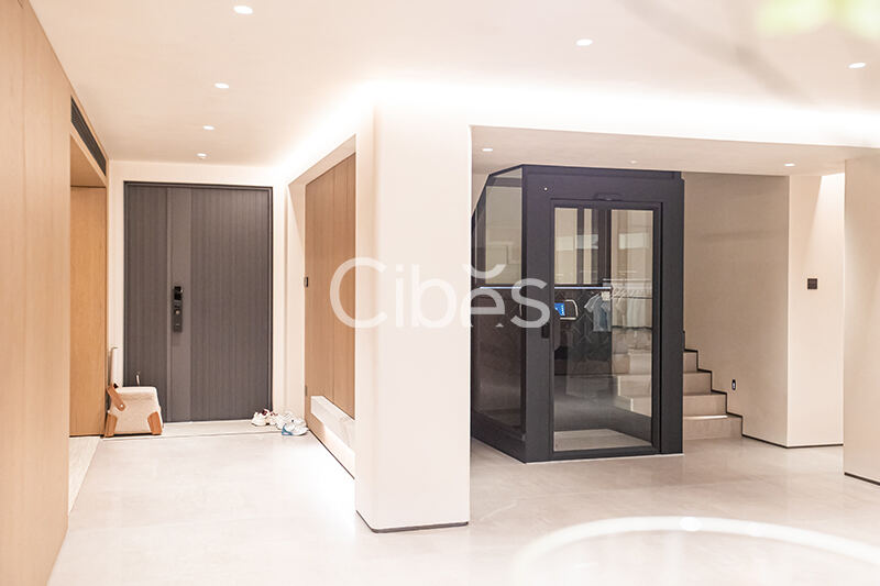 Cibes大发500别墅电梯台州案例