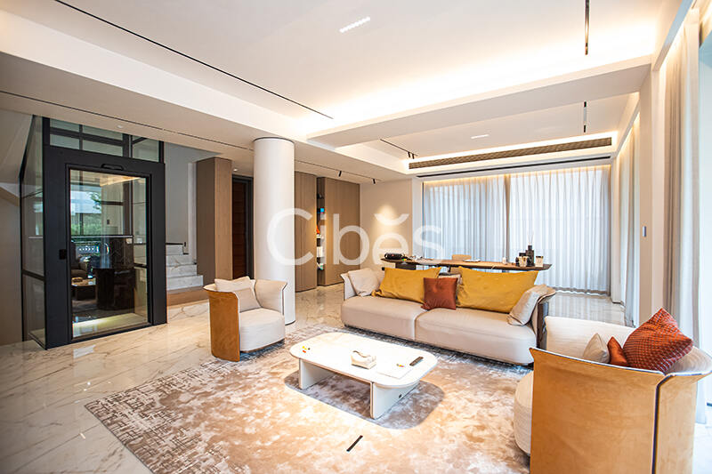 Cibes大发500别墅电梯台州案例