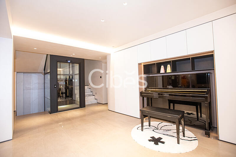 Cibes大发500别墅电梯台州案例