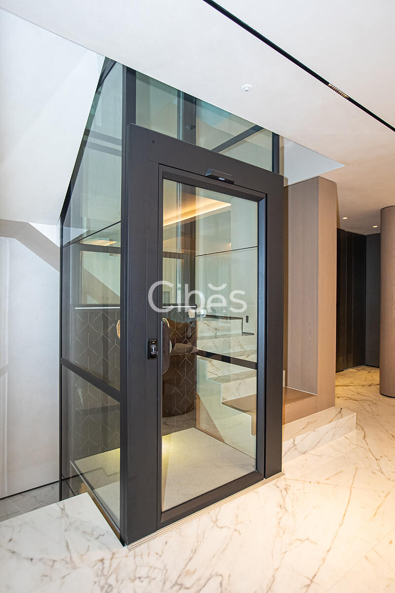 Cibes大发500别墅电梯台州案例