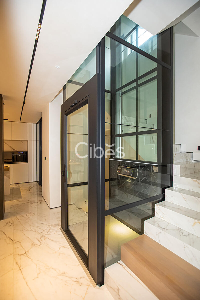 Cibes大发500别墅电梯台州案例