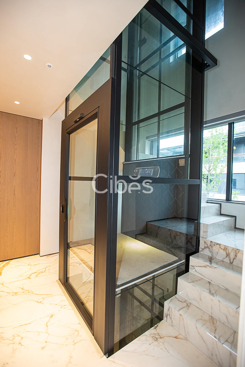 Cibes大发500别墅电梯台州案例