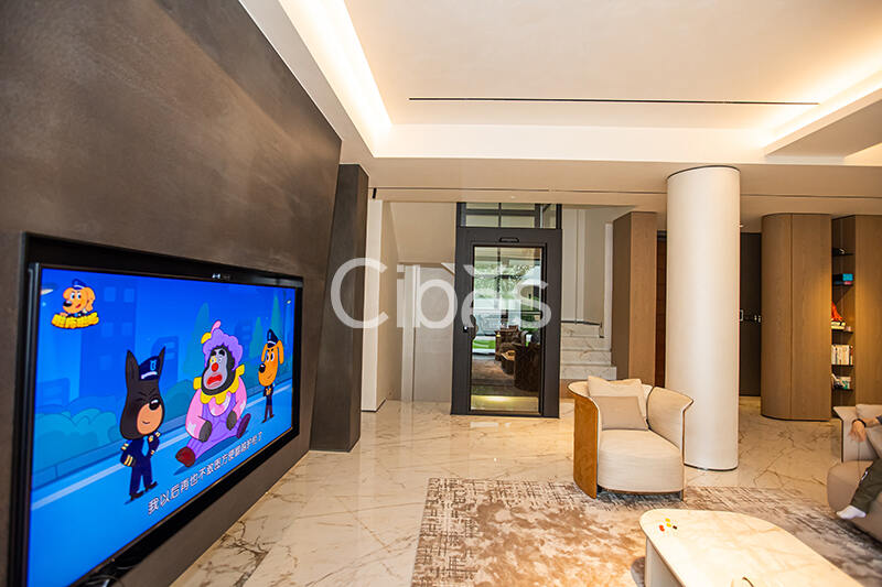 Cibes大发500别墅电梯台州案例