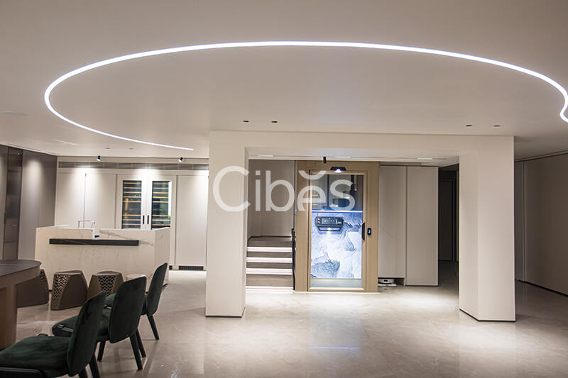 Cibes大发500台州家用电梯案例