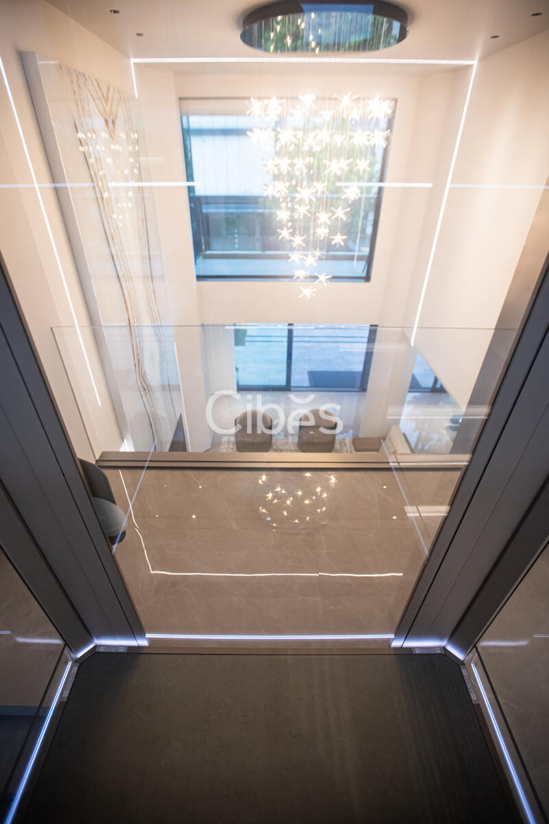 Cibes大发500台州家用电梯案例