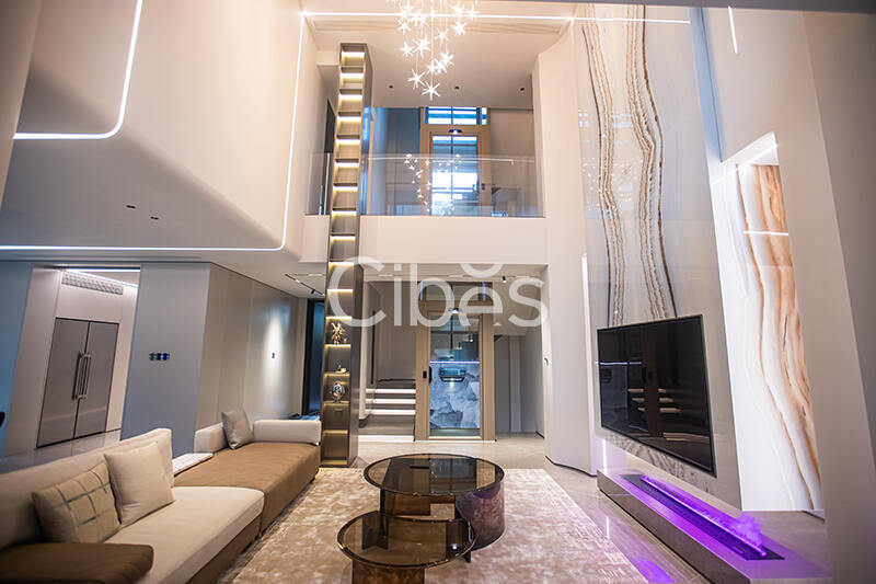 Cibes大发500台州家用电梯案例