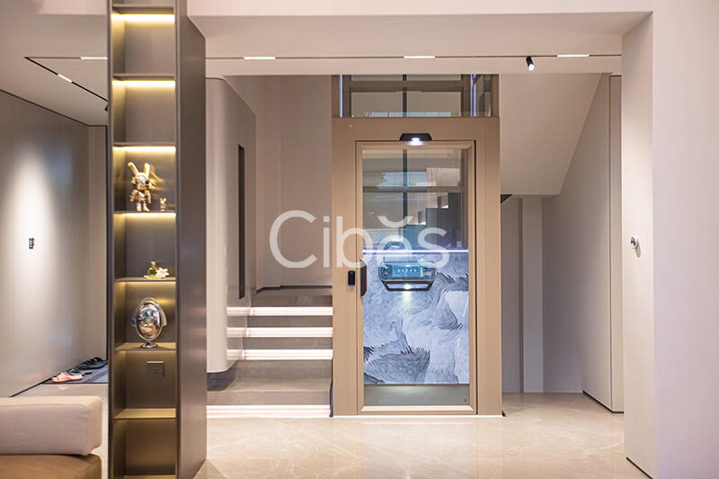 Cibes大发500台州家用电梯案例