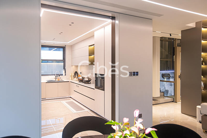 Cibes大发500台州家用电梯案例