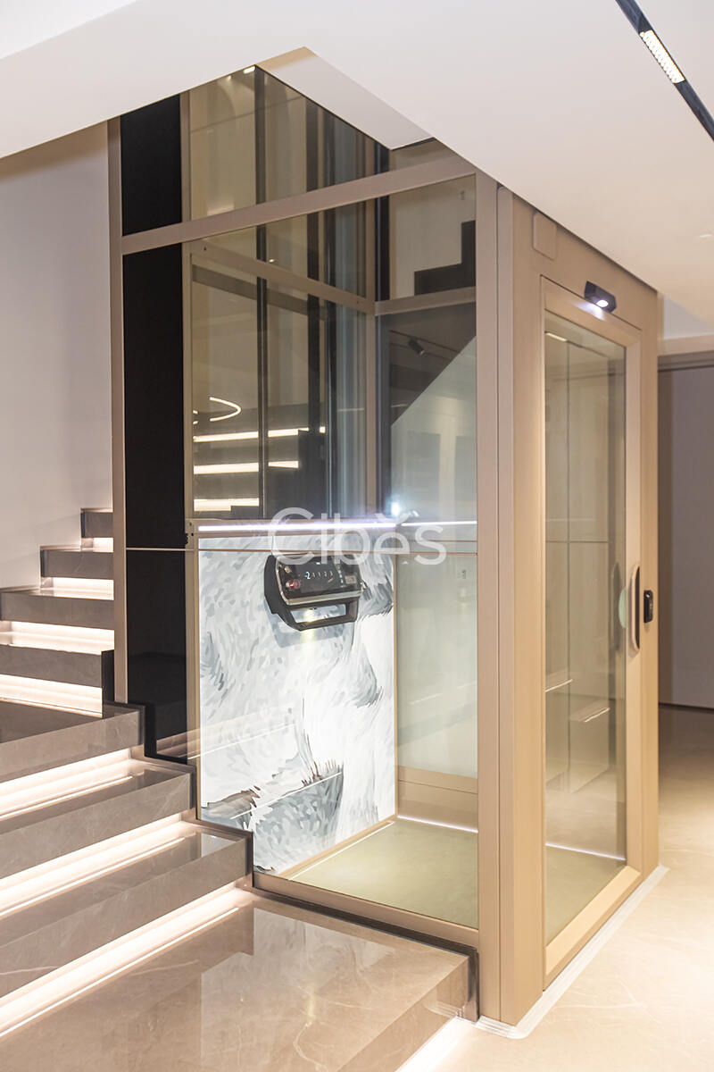 Cibes大发500台州家用电梯案例