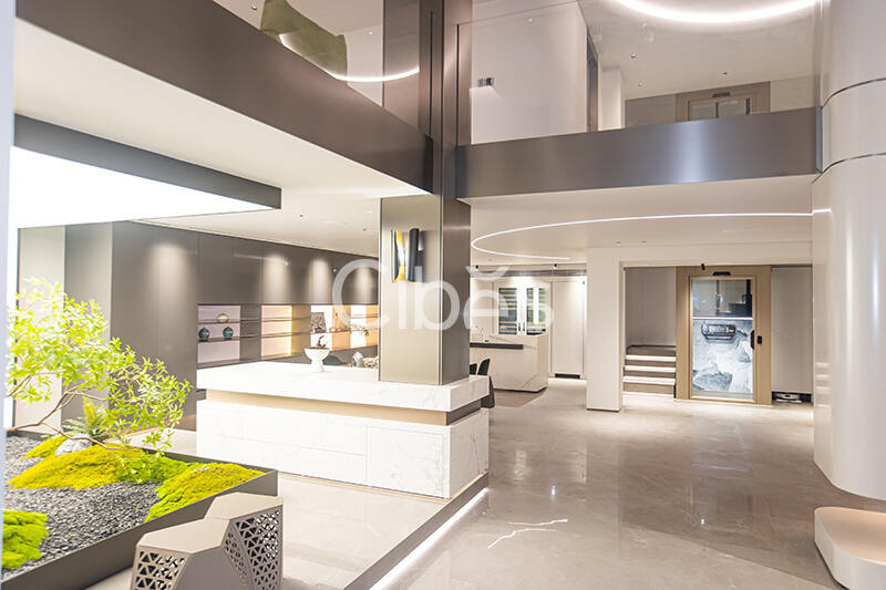 Cibes大发500台州家用电梯案例