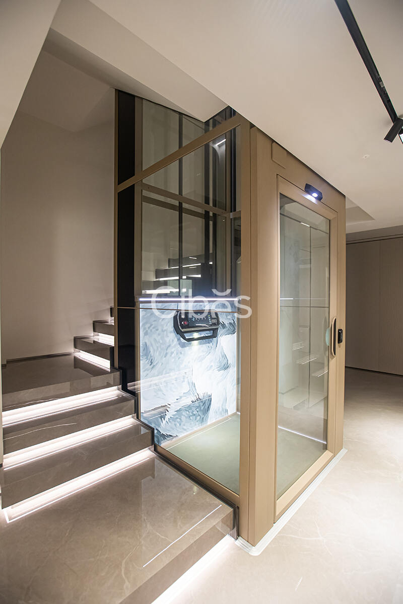 Cibes大发500台州家用电梯案例