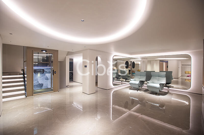 Cibes大发500台州家用电梯案例