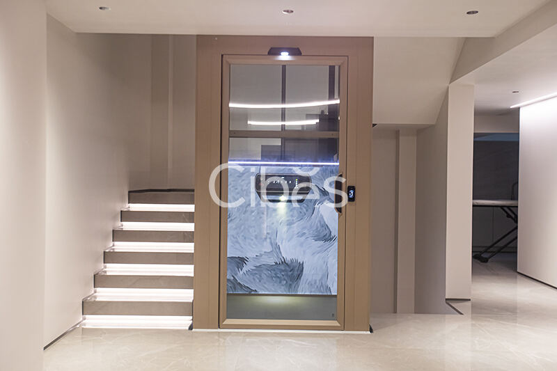 Cibes大发500台州家用电梯案例