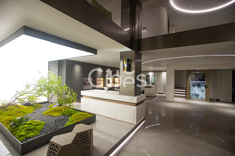 Cibes大发500台州家用电梯案例