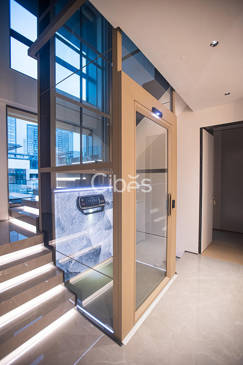 Cibes大发500台州家用电梯案例