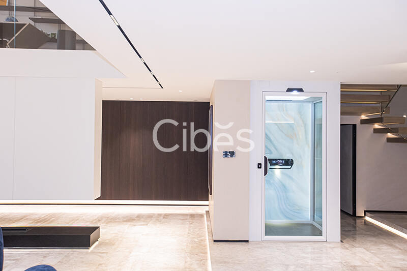 大发500-追求康健,你我一起生长