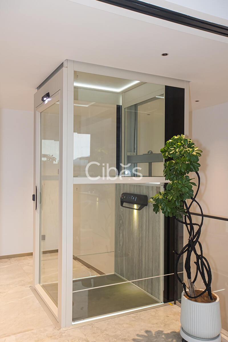 Cibes大发500台州家用电梯案例