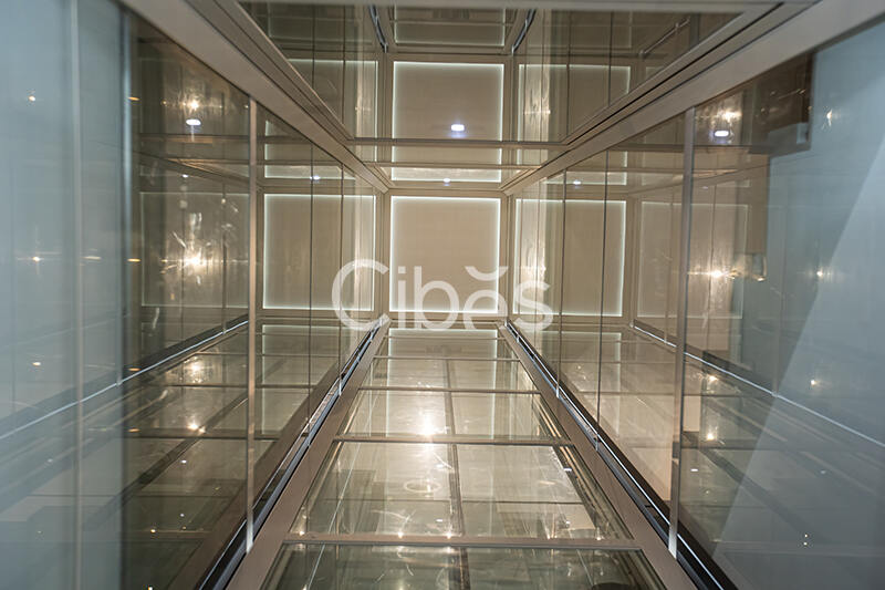 Cibes大发500台州家用电梯案例