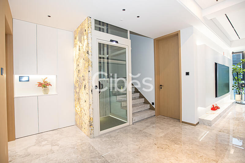 Cibes大发500台州家用电梯案例