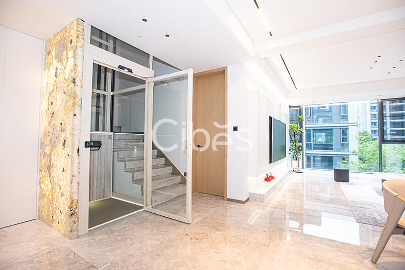 Cibes大发500台州家用电梯案例