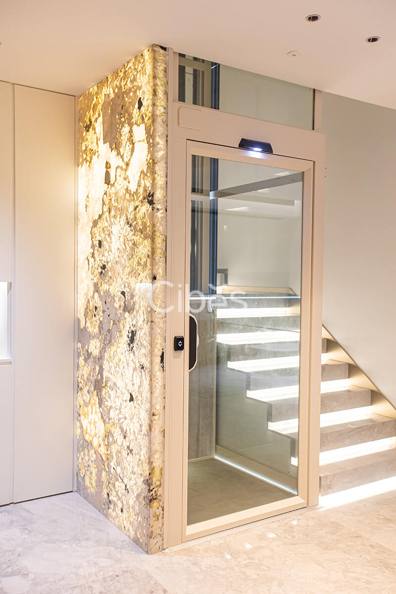 Cibes大发500台州家用电梯案例