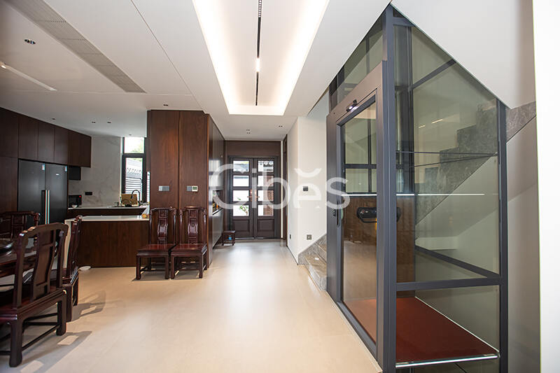 Cibes大发500别墅电梯台州案例