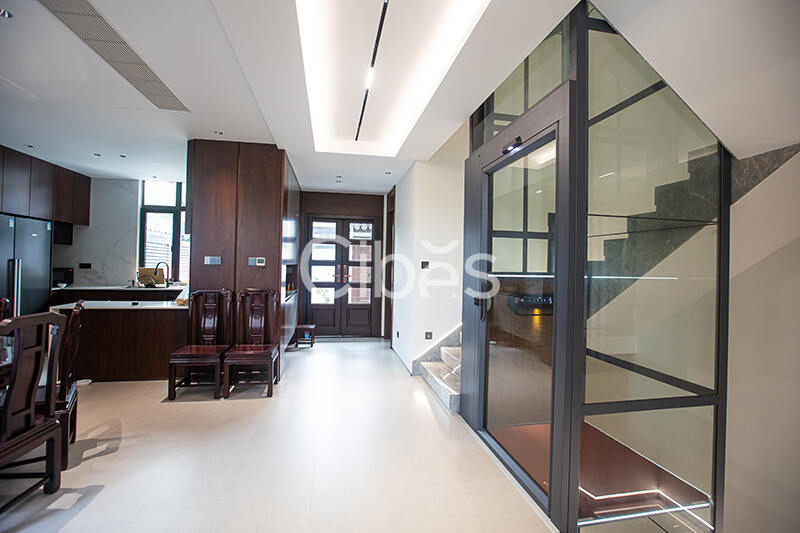 Cibes大发500别墅电梯台州案例