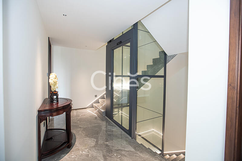 Cibes大发500别墅电梯台州案例