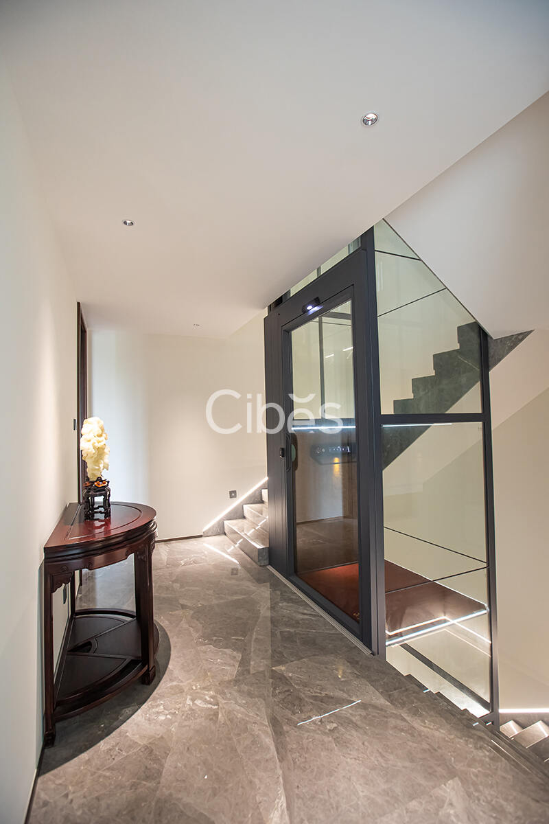 Cibes大发500别墅电梯台州案例