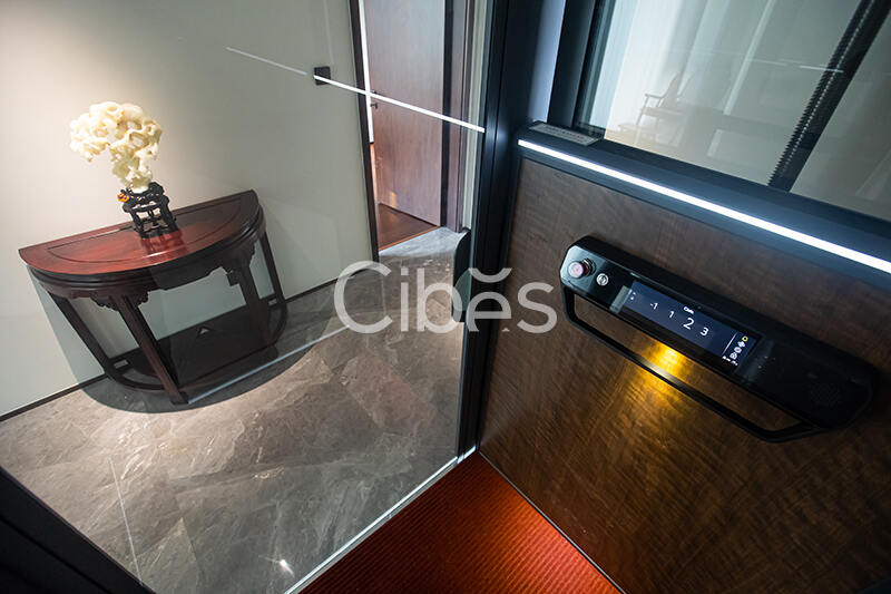 Cibes大发500别墅电梯台州案例