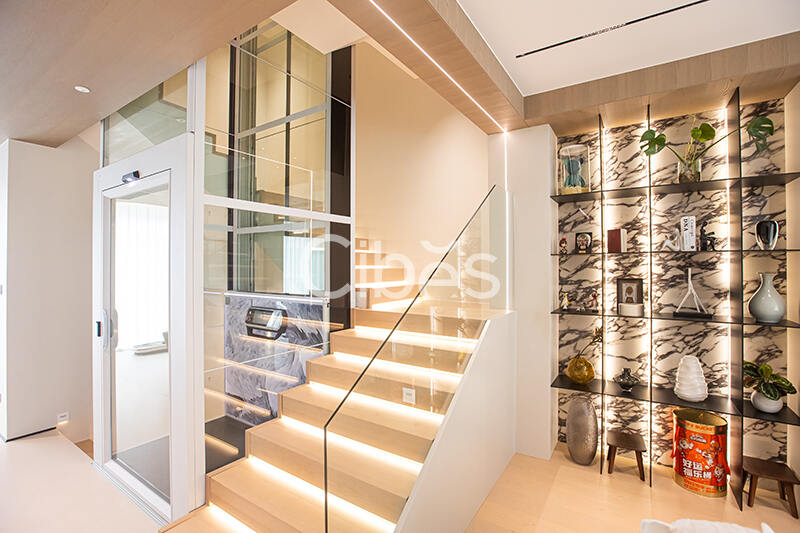 Cibes大发500别墅电梯台州案例