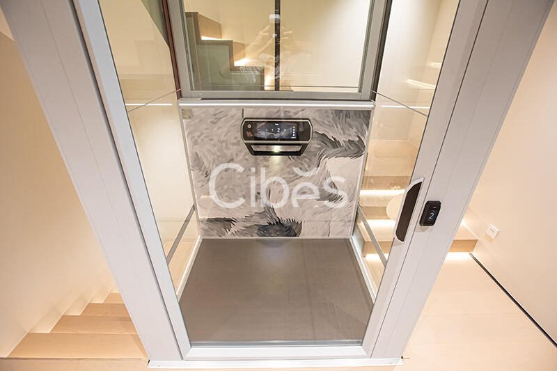 Cibes大发500别墅电梯台州案例