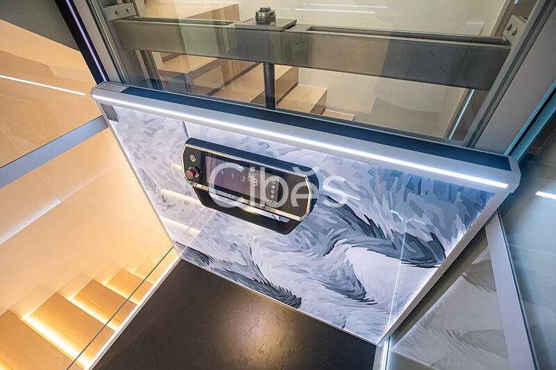 Cibes大发500别墅电梯台州案例